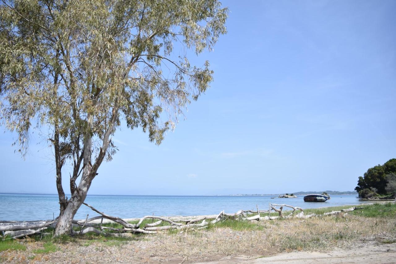 Corfu Seaview Maisonette - Sopra Il Mare Petriti  Bagian luar foto